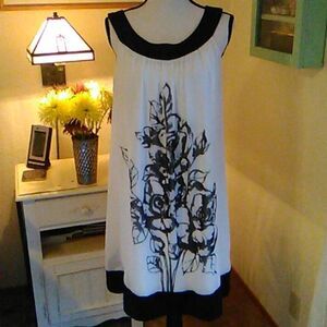 Connected Sheer With Roses Shift Dress